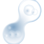 3cartois oncologie arras